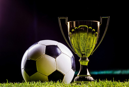 在八强中 在八强中